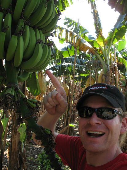 Do hot dr Aff d Banahna gfunda!