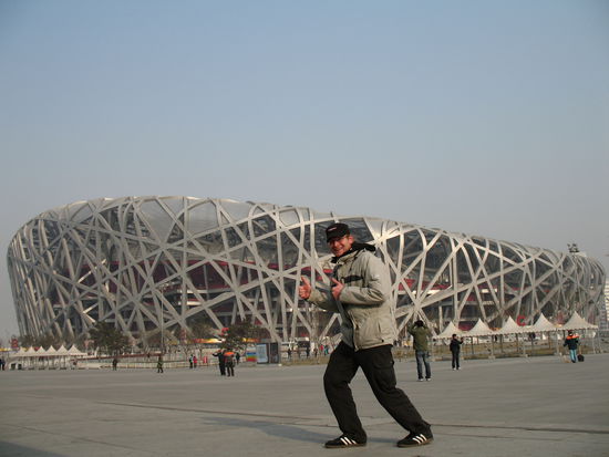 Das Vogelnest mit dem Obervogel