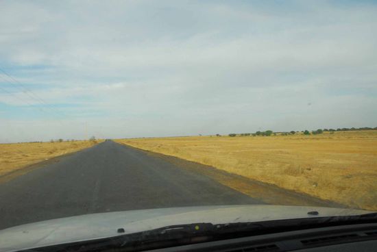 Die Landschaft aendert haeufig, von dicht bewachsen bis Steppen aehnlich. Folge der Ueberweidung.