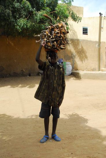 Ein Junge mit Brennholz der neugierig stehen blieb und gegen ein Photo nichts einzuwenden hatte.