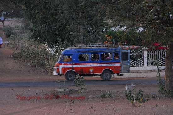 alter Bus in Louga