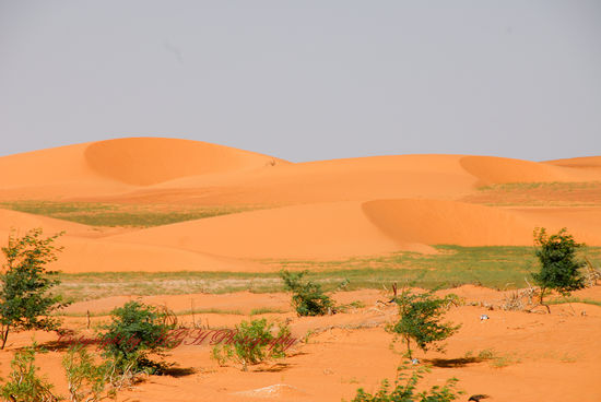 Sahara Mauretanien mit viel Grün.