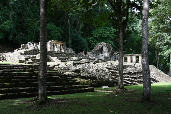 Fast vom Jungel verschluckt! Yaxchilan!