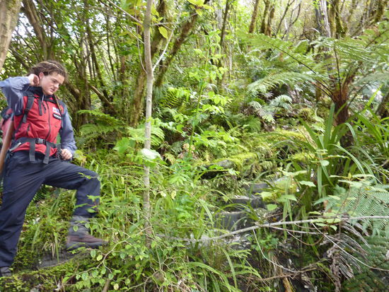 Einer unserer Bergfuehrer