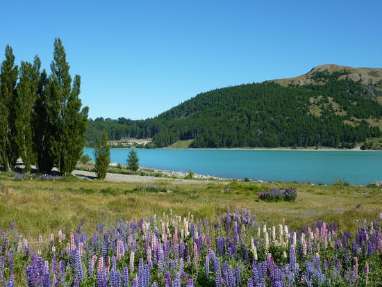 Lake Tekapo