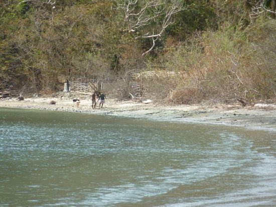 "Abtransport" des Schweinchens