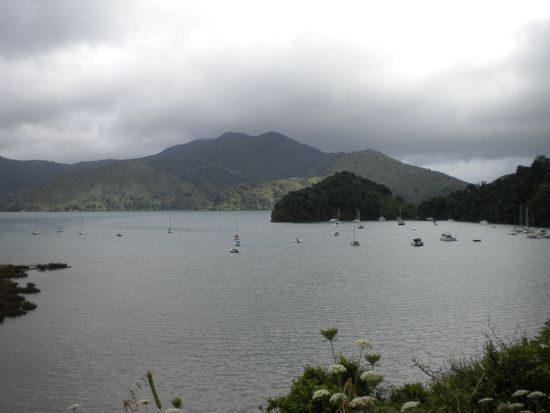 Before heading to bed we got this great view from our parking spot on the little road from Picton to Nelson.