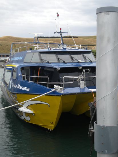 The boat of Whale Watching Kaikoura. With this boat the tourists are taken out to the sea for whale watching.