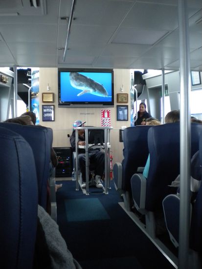 Inside it looks more than a plane than a little boat. You have to remain in your seat, because they drive so fast...