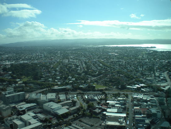 View from the Skytower