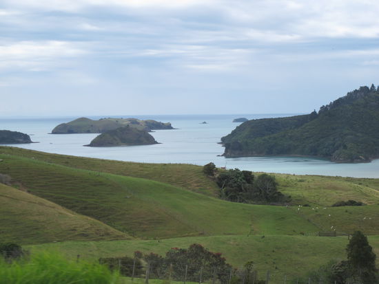 The view on the westcoast of Colomandel Peninsula. Its seems like we are in the middle of Hobbitland.