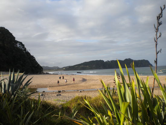 In the back of the picture you can see all the people digging wholes in the sand and wait for the hot water to bubble up.