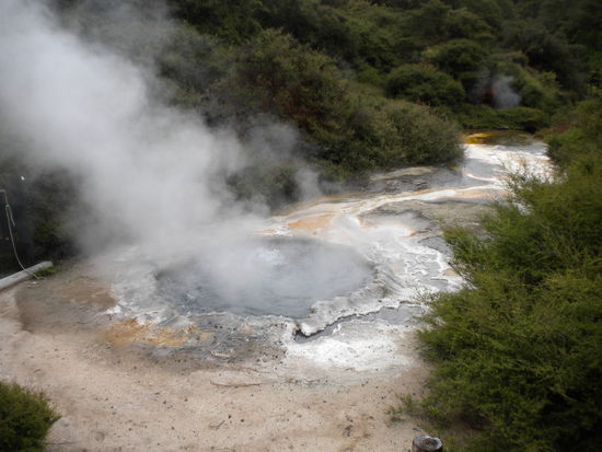 Hot springs were the old Maori used to cook.