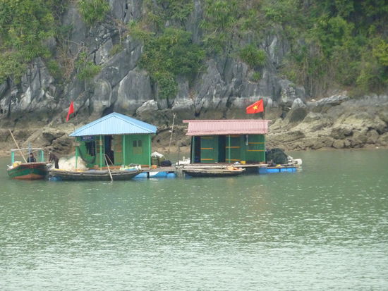 Die Leute hier sind Seenomaden und Leben auf diesen Floßen zwischen den Felsen. Sie halten da sogar Hunde und Hühner drauf!!!
