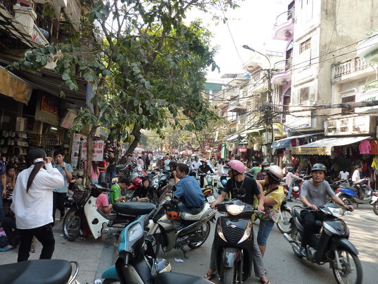 Da könnte man den ganzen Tag sitzen und staunen. Unglaublich was da los ist!