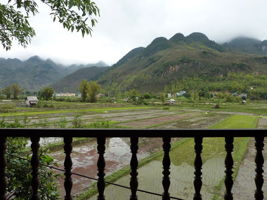 Der Blick aus dem Bett am Morgen