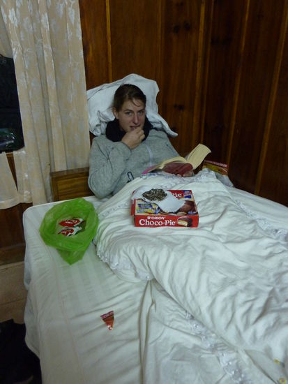 Ich hab Sonnenblumenkerne gefunden 