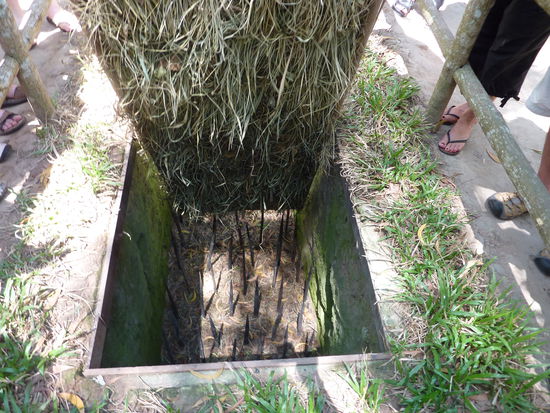 Unser Guide, Mr. Bean, erklärte uns genau die verschiedenen Fallen und die Verletzungen die diese hervorrufen können. Ich sag nur Bäähhh!