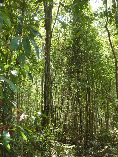 Alles ist nachgewachsen und man kann sich richtig vorstellen wie gruselig das damals war!