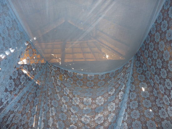 Das erste was ich morgens sehe, im Hintergrund nichts als Meeresrauschen...