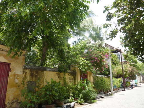 So schoen Indien eben sein kann...