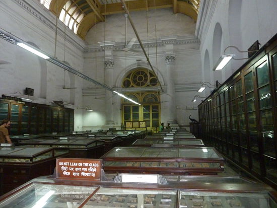 In diesen Vitrinen sind halt locker 1 Mio Steine (?!) ausgestellt! Das gleiche gibt's auch noch mit Knochenstuecken....
Ich glaub mit diesem Museum hab ich der Sache fuer das ganze Jahr genuege getan! 