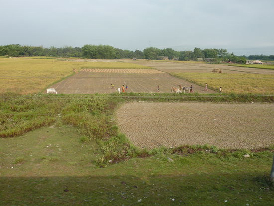 Morgenstimmung in Nordindien...