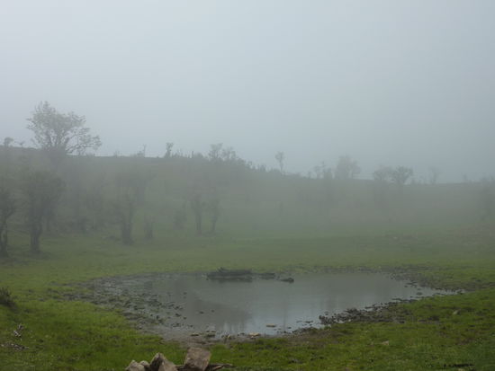 Der Nebel oder die Wolken haben sich so gut wie garnicht verzogen...