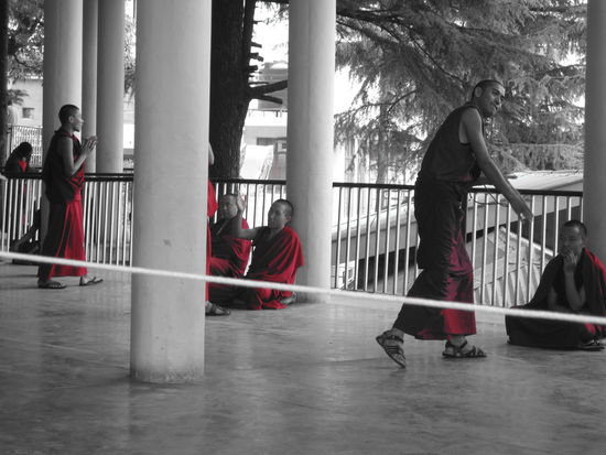 Eins von Ricks Bildern - Ich bin immerwieder neidisch auf die Leute die ne Cannon Kamera haben! 