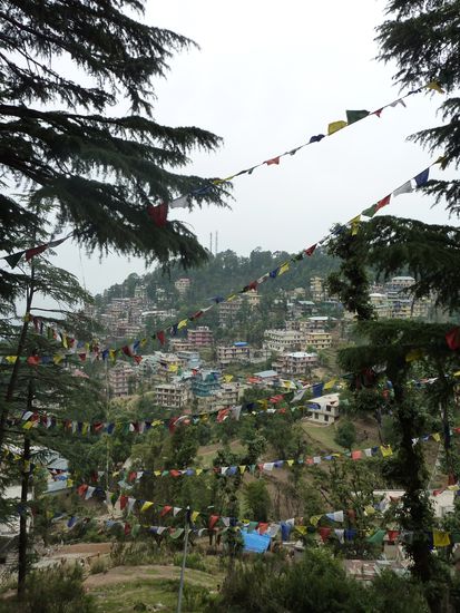 Das ist Mc Leod Gansh