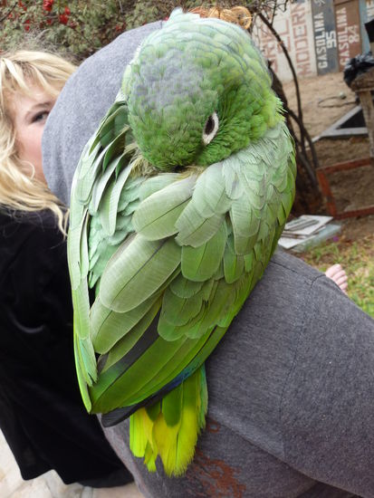 Das bin ich in den ersten Wochen Suedamerika.
Kalt, muede und will nix von der Welt wissen!