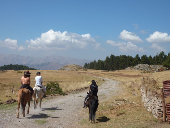 Trotz ueber 10 Jahren Reitpause geht's immernoch ziemlich gut....