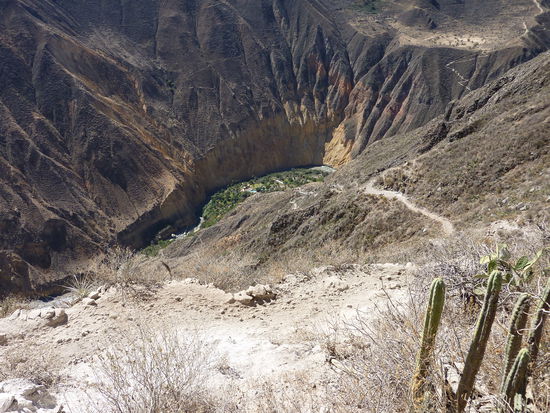 ...da runter muessen wir....1200m...wer hatte eigentlich die Idee??!! Als ob ich mich nicht mehr an den Darjeeling Trekk erinnern koennte!