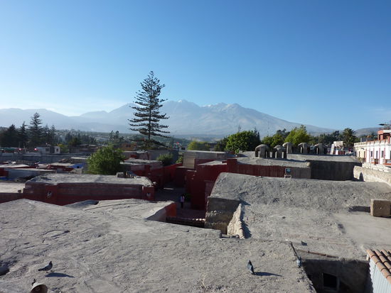 Blick ueber die Wohnhaeuser und auf den Misti