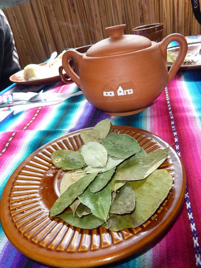 Und natuerlich gibt´s gleich mal Cocatee!
Gut um die Hoehe besser zu ertragen und schoen warm!!! 