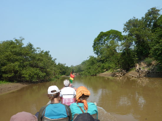 ....und dann fuer 4 Stunden den Fluss rauf...