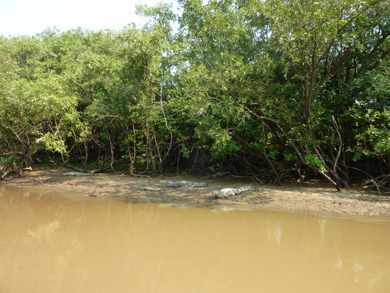 Aber ich seh bestimmt 500 die naechsten 3 Tage!!!