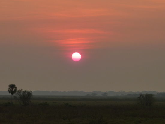 Und ihr muesst´s jedes Mal ausbaden! 