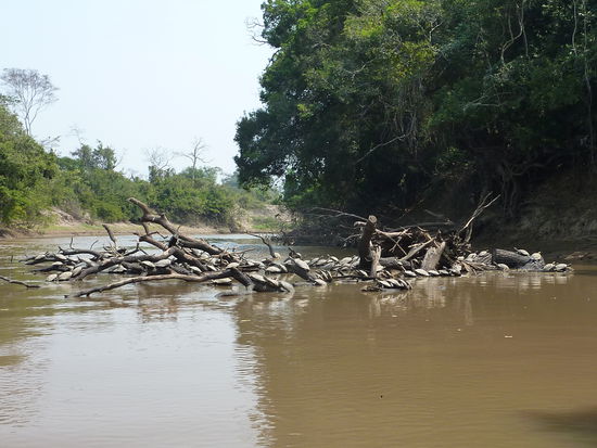 ...vorbei an meinen Lieblingsfreunden den Schildkroeten! 