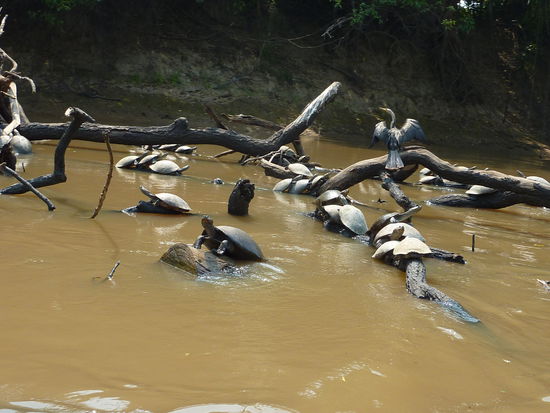 ...noch mehr von denen!