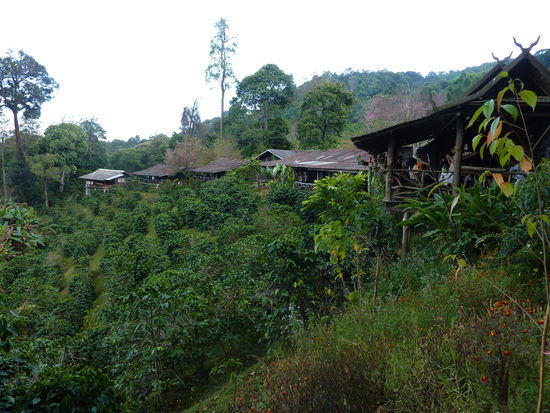 ...da kommt also der Kaffee her den ich so gerne literweise in mich rein schuette! 