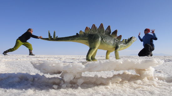 Und nachdem ich Nadim vor dem Dino gerettet hatte schauten wir noch bei der Kakteeninsel vorbei, bevor es fuer die Nacht an den Rand der Salar zum uebernachten ging.