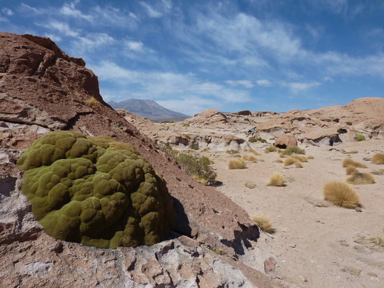 Wiedermal - ohne Worte!