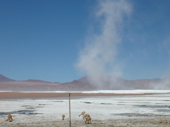 ...direkt am Ufer der roten Lagune...Langsam weiss man schon kaum mehr ob das weisse Salz oder Gletscher ist! (also hinten isses Eis!)