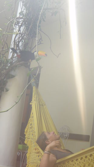 Der Tukan, der Tuka, der Tukan....gehoerte zum Guesthouse! Sooo suess! Aber ich hatte auch Angst vor ihm mit sienem riessen Schnabel!