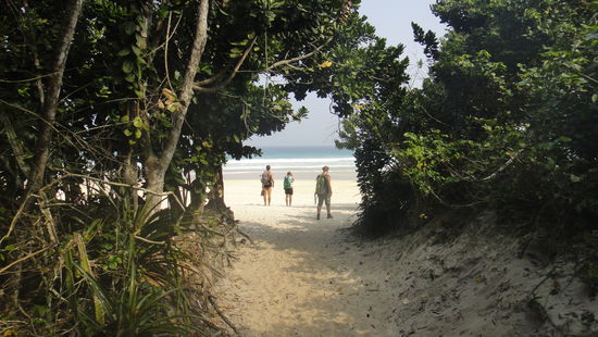 ...und dann kommt er endlich in Sicht!!!