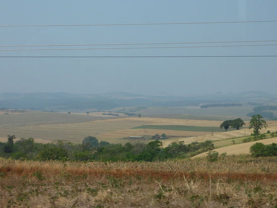 Koennte auch Deutschland sein, hm? 
Hatte die Landschaft in Suedbrasilien auch nicht vorgestellt!
