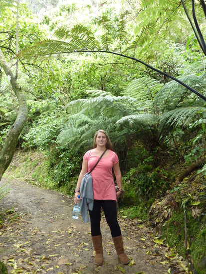 Ueber mir ist so ein Farnblatt