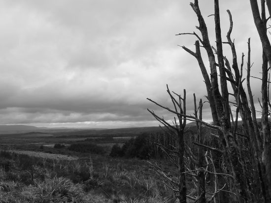 Die duestere Moorlandschaft kam dadurch aber noch besser zur Geltung.