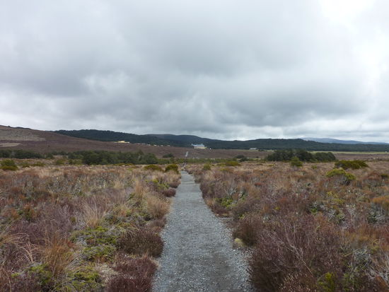Wenn die Wolken nicht waeren koennten wir super weisse Gipfel bewundern... 
